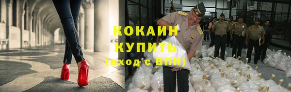 дмт Бородино