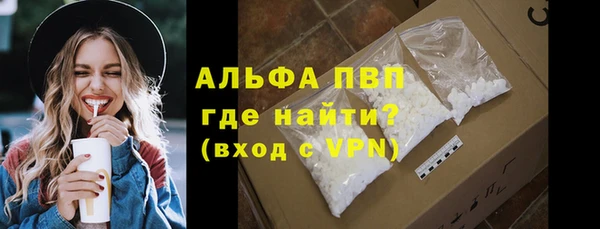 дмт Бородино