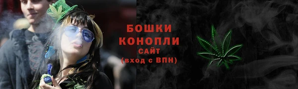 дмт Бородино