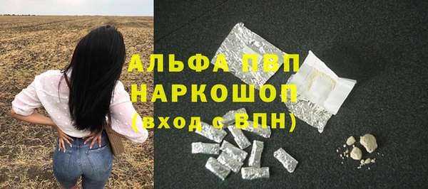 дмт Бородино