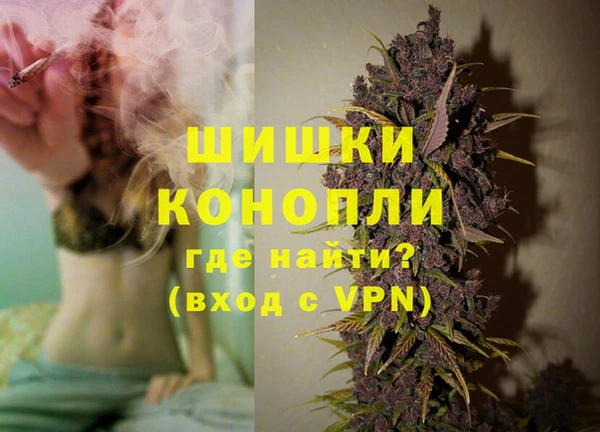 дмт Бородино