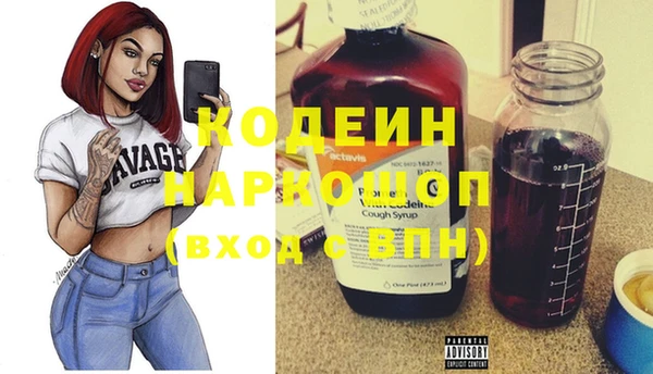 дмт Бородино