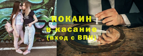 дмт Бородино