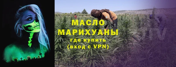 дмт Бородино