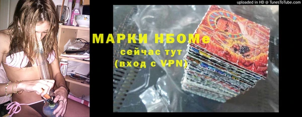 дмт Бородино
