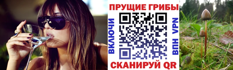 гидра маркетплейс Великий Устюг Галлюциногенные грибы Magic Shrooms