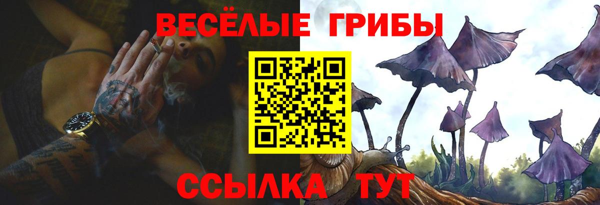 Псилоцибиновые грибы Cubensis  Вход с VPN  Великий Устюг  Псилоцибиновые грибы мухоморы 