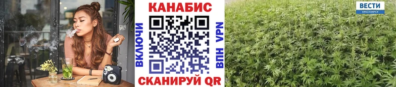 Бошки марихуана сатива  наркотики  Великий Устюг 
